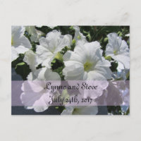 White Petunia Guardar la fecha