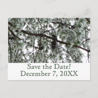Postal De Anuncios Winter Pine Save the Date Postcard