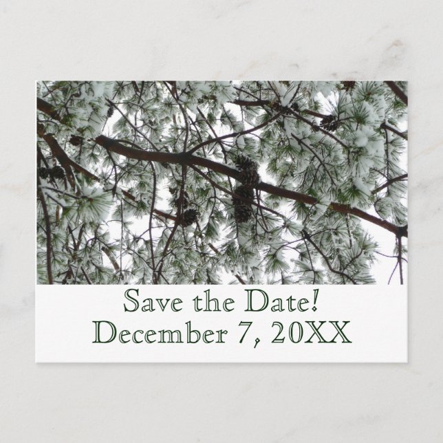 Postal De Anuncios Winter Pine Save the Date Postcard (Anverso)