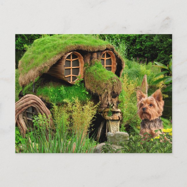 Postal De Anuncios Yorkie New Address (Anverso)