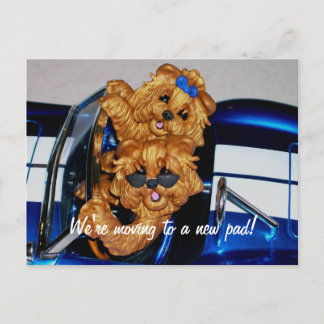 Postal De Anuncios Yorkies~ ¡Nos estamos mudando a un nuevo pedestal!