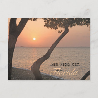 Postal de apertura de clave de pino grande