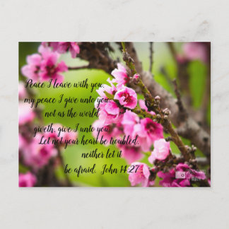 Postal de Apple Blossom