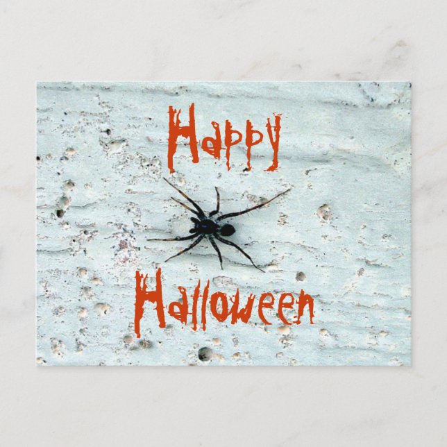 Postal de araña negra (Anverso)