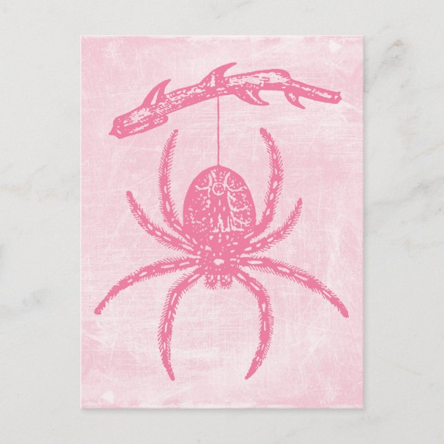 Postal de araña rosada (Anverso)