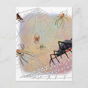 Postal de arañas