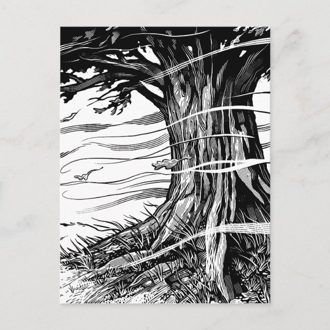 Postal de árbol (Anverso)