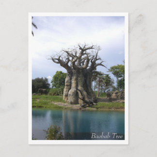 Postal de árbol baobab
