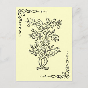 Postal de árbol de frutas