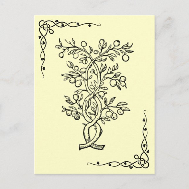 Postal de árbol de frutas (Anverso)