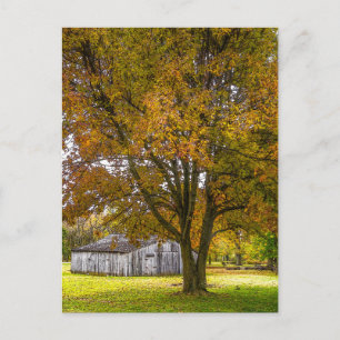 Postal De Árbol De Otoño Y Paintería De Barn