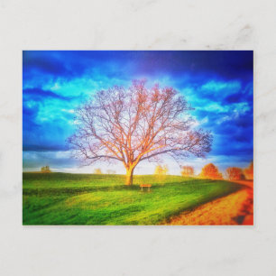 Postal de árbol de roble