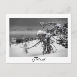 Postal de árbol extraterrestre de Finlandia