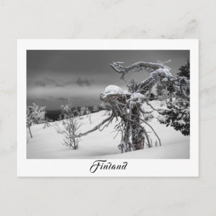 Postal de árbol extraterrestre de Finlandia