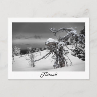 Postal de árbol extraterrestre de Finlandia