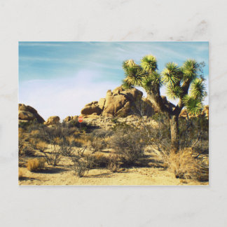 Postal de árbol Joshua