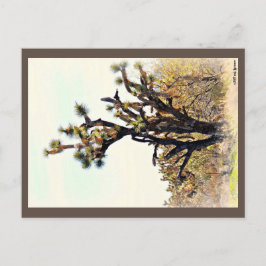 Postal de árbol Joshua