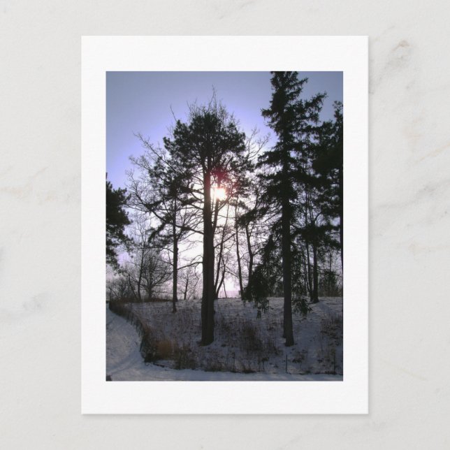 Postal de árboles de invierno (Anverso)