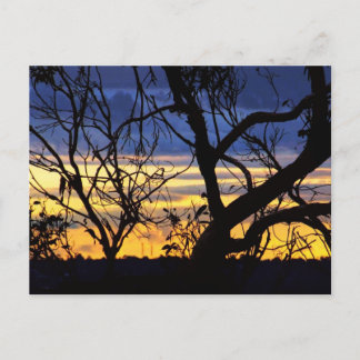 Postal de árboles de silueta