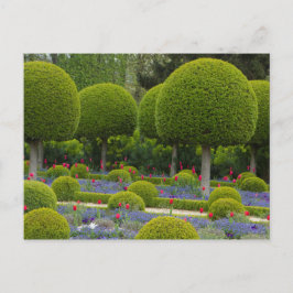 Postal de árboles redondos