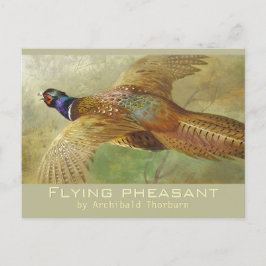 Postal de Archibald Thorburn Flying Pheasant CC067