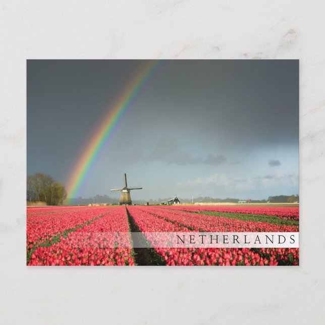 Postal de arco iris, tulipanes y molinos de viento (Anverso)