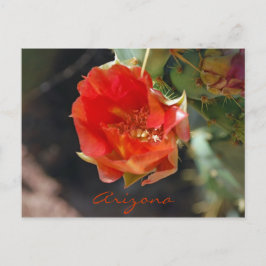 Postal de Arizona