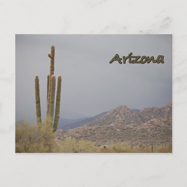 Postal de Arizona (Anverso)