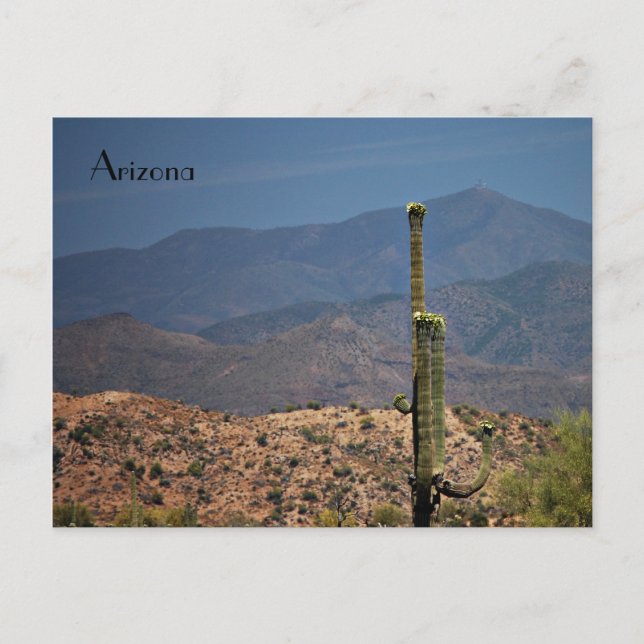 Postal de Arizona (Anverso)
