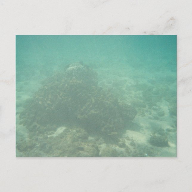 Postal de arrecife de coral (Anverso)