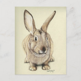 Postal de arte animal "Brown Bunny"