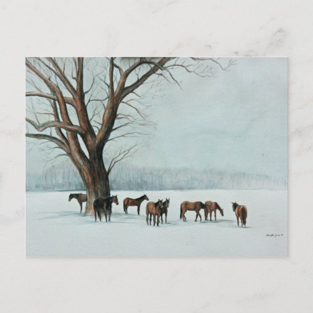 Postal de arte animal "Caballos con nieve" (Anverso)