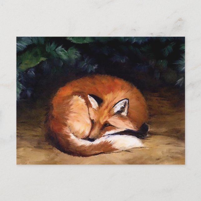 Postal de arte animal Sleepy Red Fox (Anverso)