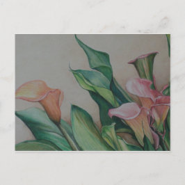 Postal de arte Calla Lilies