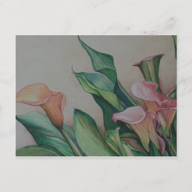Postal de arte Calla Lilies (Anverso)