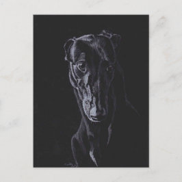 Postal de arte canino negro Greyhound