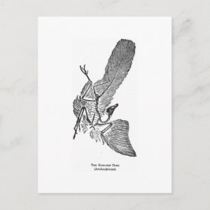 postal de arte de Archaeopteryx