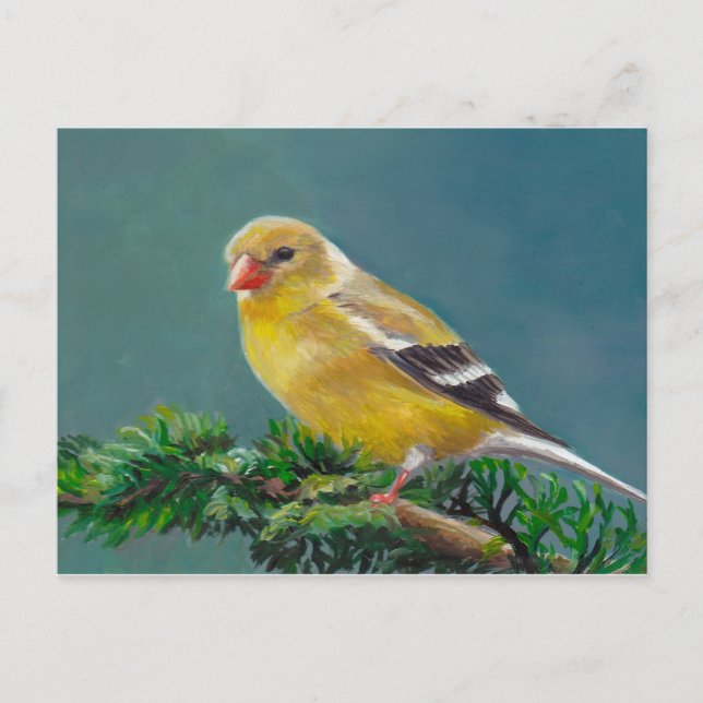 Postal de arte de aves de la Sra. Goldfinch (Anverso)
