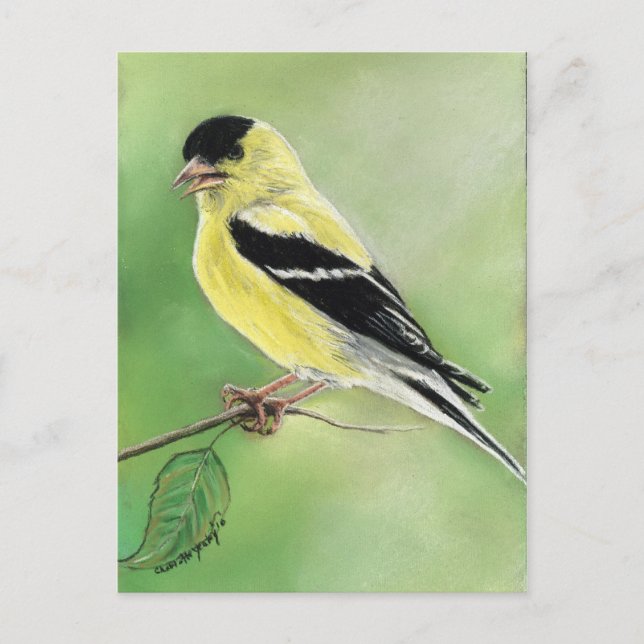 Postal de arte de aves "Goldfinch" (Anverso)