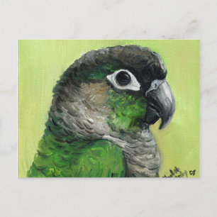 Postal de arte de aves "Green Cheeed Conure"