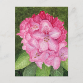 Postal de arte de Azalea Rosa