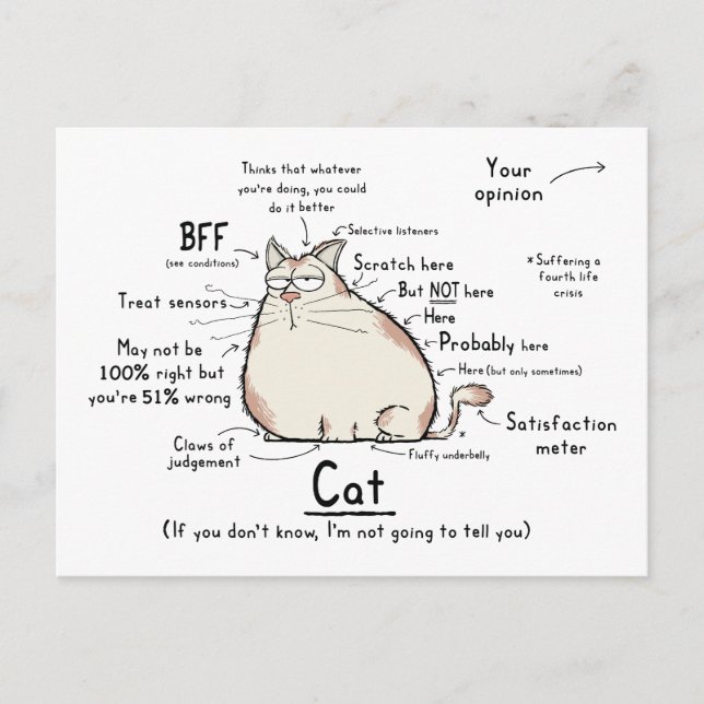 Postal de arte de gatos (Anverso)