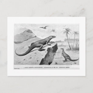 postal de arte de Hipsilofón