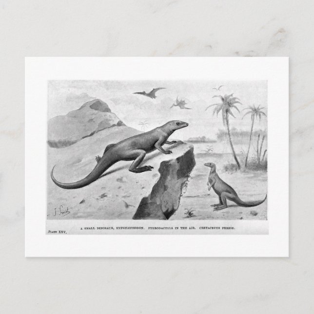 postal de arte de Hipsilofón (Anverso)