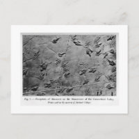Postal de arte de huellas de dinosaurios