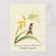 Postal de arte de Hummingbird con garganta magenta (Anverso)