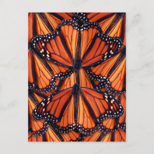 postal de arte de mariposa monarca