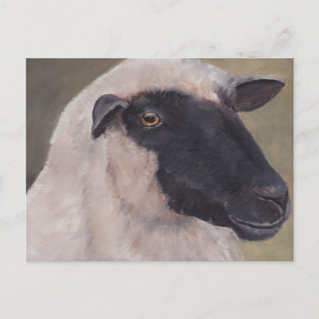 Postal de arte de oveja negra (Anverso)