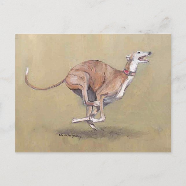 Postal de arte de perro de Greyhound en ejecución  (Anverso)