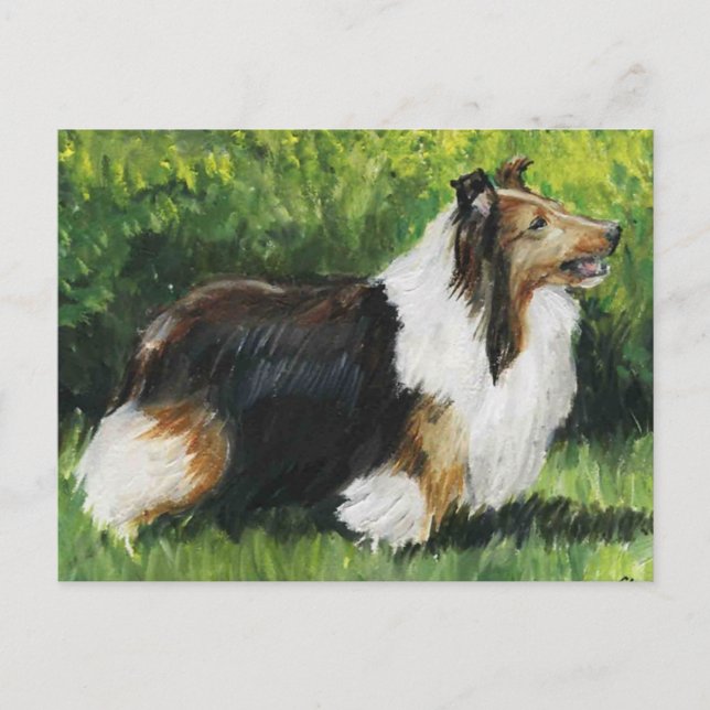Postal de arte de perro de Shetland Sheepdog (Anverso)